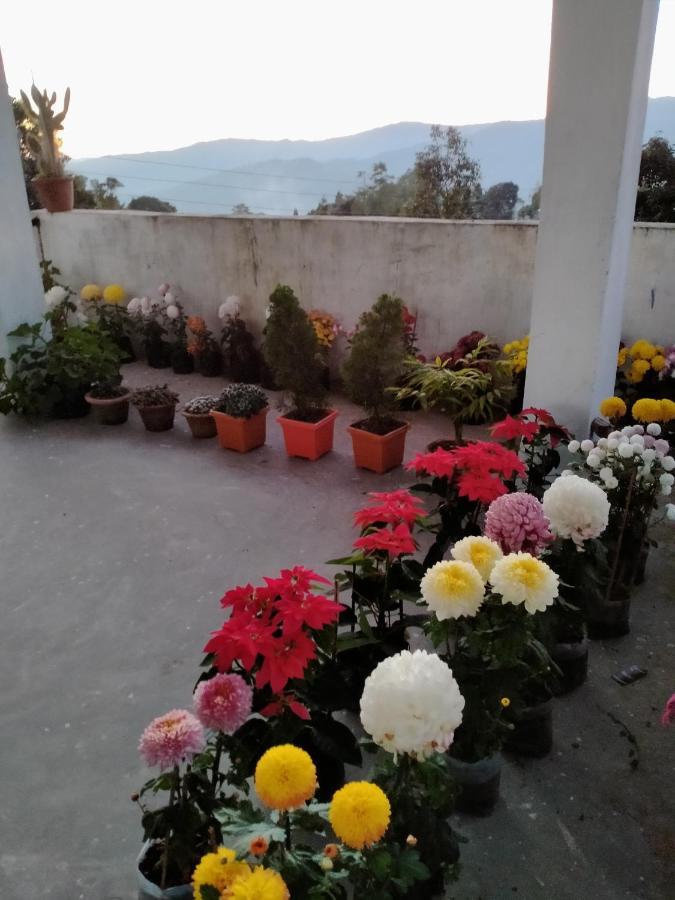 Ajit Homestay, Darjeeling Darjeeling  Ngoại thất bức ảnh